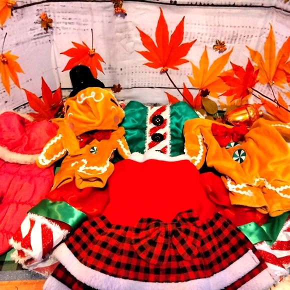 Winter Wardrobe of 6 Holiday Dog Costumes